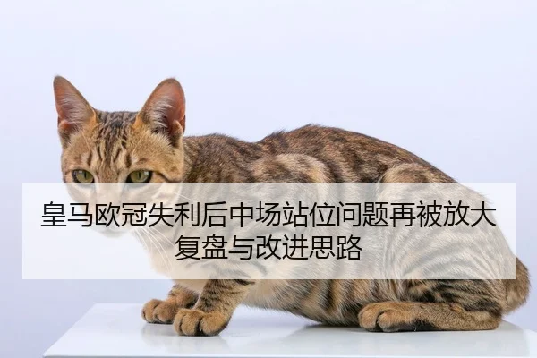 皇马欧冠失利后中场站位问题再被放大复盘与改进思路